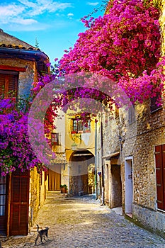 Art beautiful old town of Provence