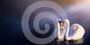 Art beautiful romance landscape; love couple white swan