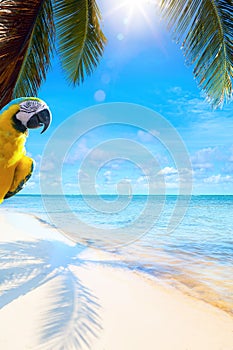 Art beautiful summer tropical holiday background; suny sandy beach, palm tree and blue sea sky