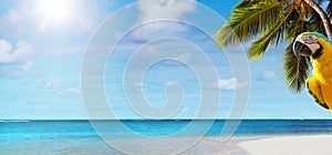 Art beautiful summer tropical holiday background;   suny sandy beach, palm tree and blue sea sky