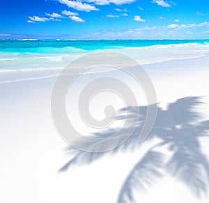 Art Beautiful sunny tropical sandy beach background; palm trees shadow and blue sea waves