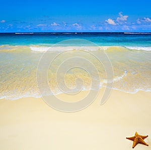 Art beautiful untouched tropical sea beach