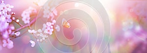 Art blurred nature Spring blossom banner background. Nature scene with blooming tree Spring flowers and flying butterfly.