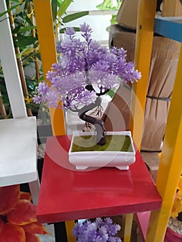 The art of  bonsay flower