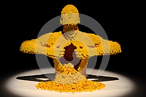 Art of the brick