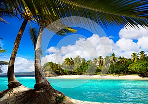 Art caribbean tropical sea lagoon