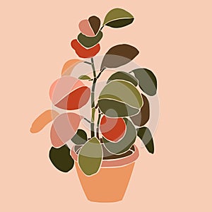 Art collage houseplant peperomia in a minimal trendy style. Silhouette of potted plant on a pink background. Vector