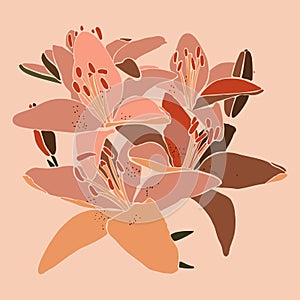 Art collage lily flower in a minimal trendy style. Silhouette of lily plants on a pink background. Vector illustration