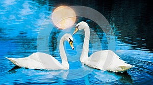 collage with two swans on a night lake with full moon reflection