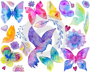 Art collection including butterfly, bird, floral ornament, flowers, leaf, hearts on the white background