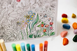 Art and Color Therapy. Anti Stress Adult coloring book.