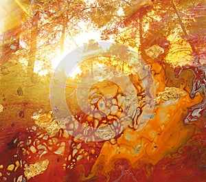 Art concept of double exposure in nature. forest and fall colors