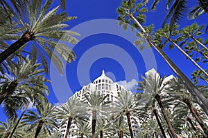 Art Deco building surrounded by palm trees on Collins Avenue in Miami Beach
