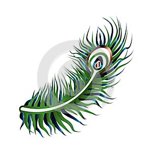 Art Deco Gatsby Peacock Feather Design