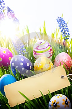 Art Easter Background with easter eggs and spring flowers