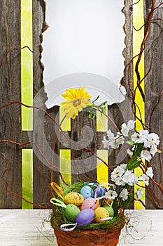 Art easter background with fence, eggs, spring flowers, blank ca