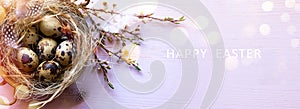 Art Easter banner or greeting card background; eggs in decoration nest and spring flowers