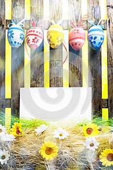 Art Easter Egg background fence card blank spring flower eggs