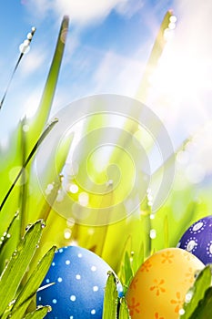 Art Easter eggs decorated in the grass