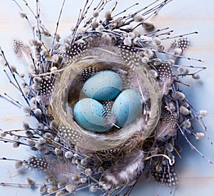 Art Easter eggs and spring flovers on wood background