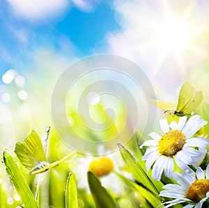 art Easter spring background with flower meadow with white spring flowers and yellow butterflies on a sunny day. Easter morning