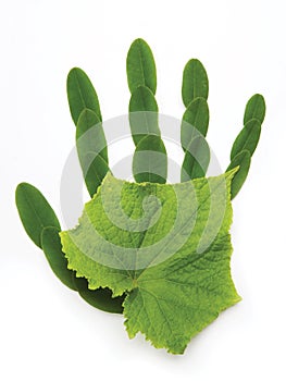 Art Ecological symbol hand of nature