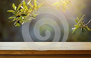 Art Empty wooden deck table on sunny olive garden blurred background