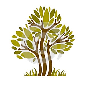 Art fairy illustration of tree, stylized eco symbol. Insight vector image on season idea, beautiful picture.