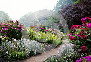 Art flowers in the morning in an English park