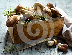 Art fresh forest porcini Mushroom on kitchen table