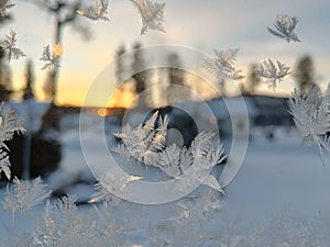 Art by frost, Christmas window