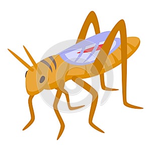 Art grasshopper animal bug icon isometric vector. Ant insect