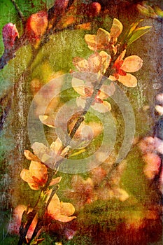 Art grunge floral background