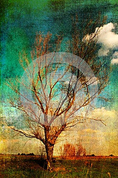 Art grunge landscape - lonely tree on the meadow