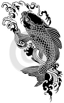 Black koi carp swimming upstream photo