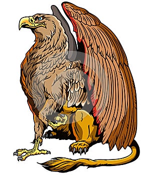 Sitting Griffin or Griffon. Mythological creature