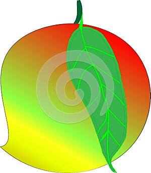 Mango with leaf vector or illustration Art Illustration
