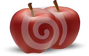 Two red apples with shadow on white background