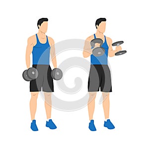 Man doing standing dumbbell bicep hammer curls. Flat vector illustration photo