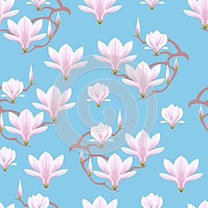 Blooming magnolia on a blue background. Seamless pattern with spring flowers.