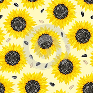 Sunflower plant and seeds on yellow background. Seamless pattern with blooming sunflowers.