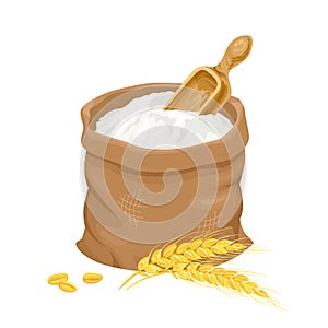 Sack with wheat flour and golden ears isolated on white.