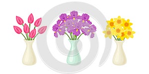 Set of spring bouquets in vases isolated on white. Vector cartoon illustration of beautiful flowers.