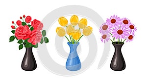 Vases with flowers set. Bouquet of yellow tulips in blue vase, red roses and purple echinacea in a black vase.