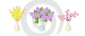 Set of vases with bouquets of blooming spring branches. Lilac flowers, yellow forsythia and cherry blossoms.