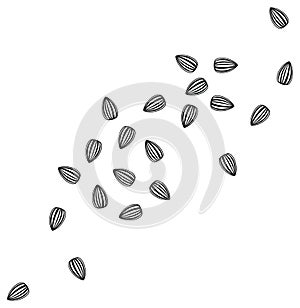 Scattered Sunflower Seeds Transparent Clipart Set