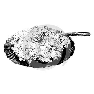 Black and White Rice on the plate with spoon photo