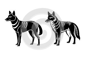 Vector silhouette image of Dingo