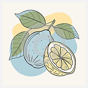 Legato Fruit Vector Illustration , A Harmonious Blend of Freshness and Art