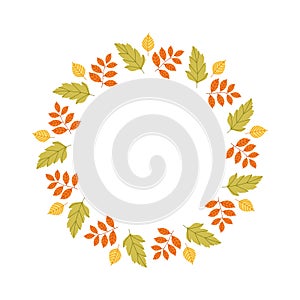 Spring flowers. Spring leaves circle frame.